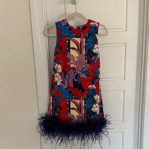 Tuckernuck feathered mini dress